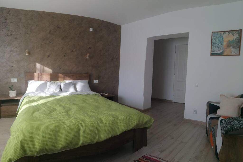 Casa Cu Trandafiri Villa Baia Mare Bagian luar foto