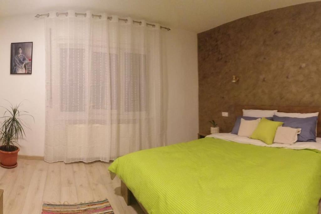 Casa Cu Trandafiri Villa Baia Mare Bagian luar foto