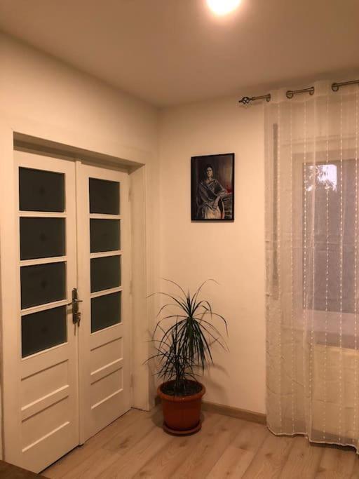 Casa Cu Trandafiri Villa Baia Mare Bagian luar foto
