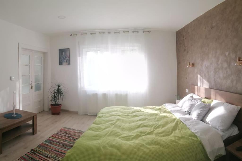 Casa Cu Trandafiri Villa Baia Mare Bagian luar foto