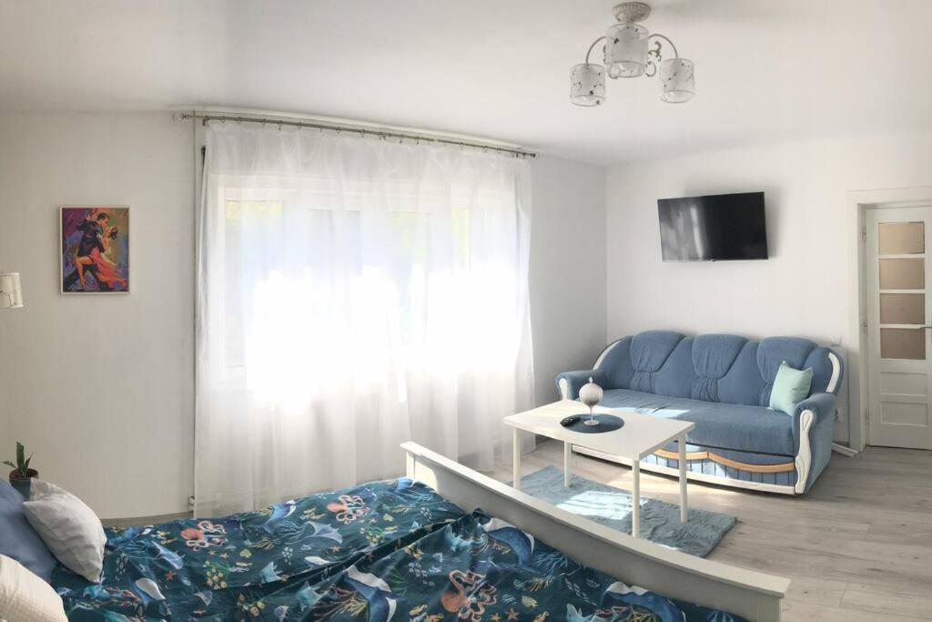 Casa Cu Trandafiri Villa Baia Mare Bagian luar foto