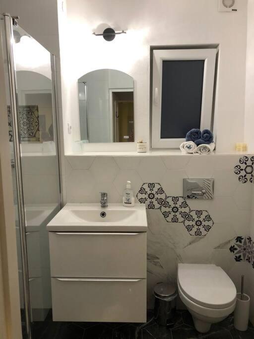 Casa Cu Trandafiri Villa Baia Mare Bagian luar foto