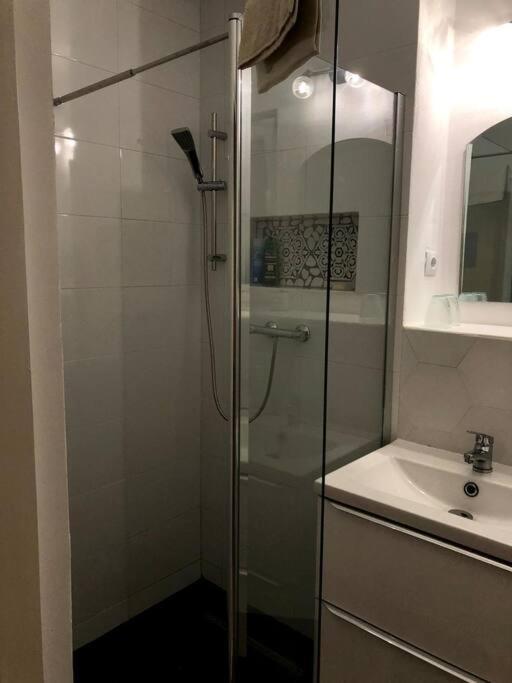Casa Cu Trandafiri Villa Baia Mare Bagian luar foto