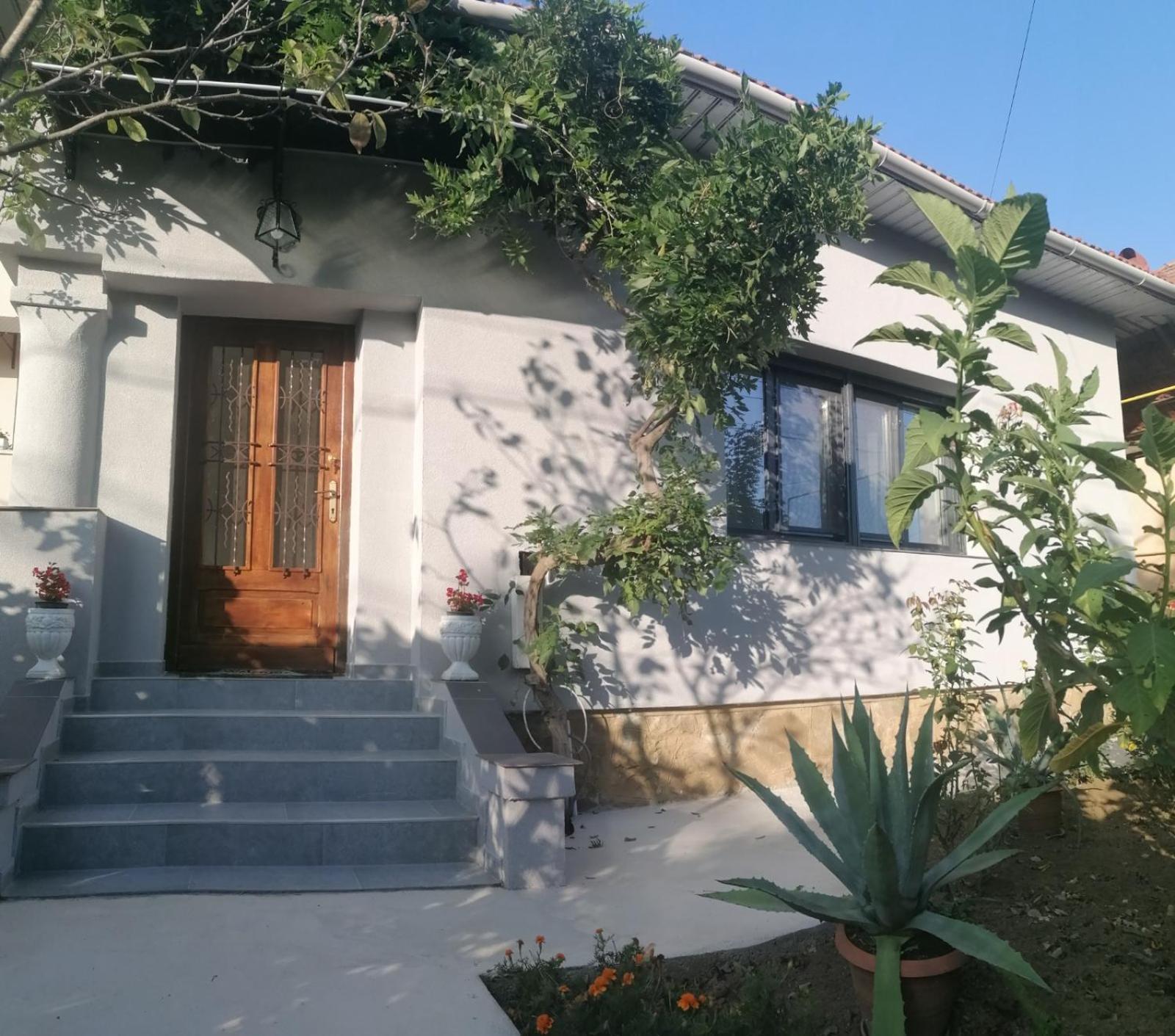 Casa Cu Trandafiri Villa Baia Mare Bagian luar foto
