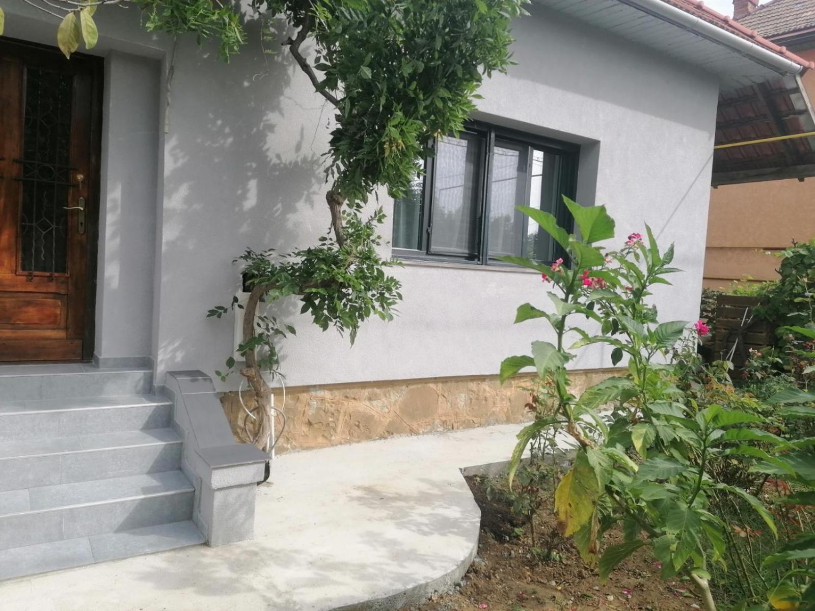 Casa Cu Trandafiri Villa Baia Mare Ruang foto